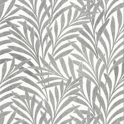 KRAVET DESIGN KRAVET DESIGN PRINT--TEXTURE-TROPICAL BLACK,WHITE,   - W3737.81.0