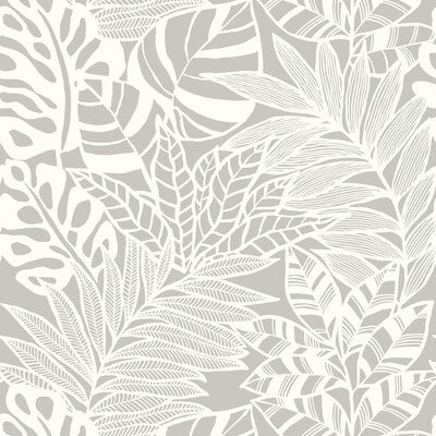 KRAVET DESIGN KRAVET DESIGN PRINT--BOTANICAL & FLORAL- GREY,WHITE,   - W3774.11.0