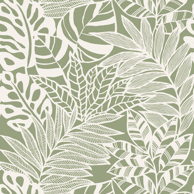 KRAVET DESIGN KRAVET DESIGN PRINT--BOTANICAL & FLORAL- GREEN,WHITE,   - W3774.3.0