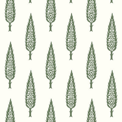 KRAVET DESIGN KRAVET DESIGN PRINT--BOTANICAL & FLORAL- GREEN,WHITE,   - W3775.3.0