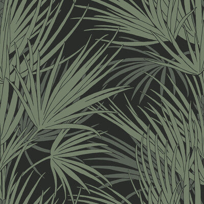 KRAVET DESIGN KRAVET DESIGN PRINT---TROPICAL BLACK,GREEN,   - W3781.8.0