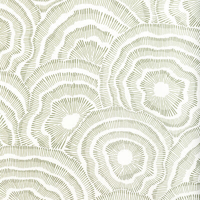 KRAVET COUTURE PANACHE WP PRINT---MODERN OLIVE GREEN,GREEN,   - W3823.123.0