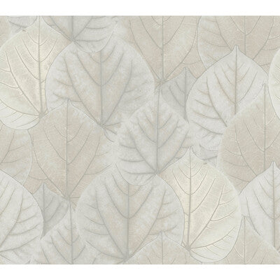 KRAVET DESIGN KRAVET DESIGN PRINT--BOTANICAL & FLORAL-METALLIC LIGHT GREY,IVORY,SILVER   - W3880.1101.0