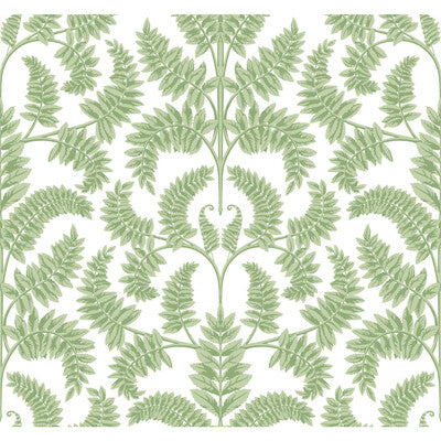 KRAVET DESIGN KRAVET DESIGN PRINT--BOTANICAL & FLORAL-DAMASK GREEN,LIGHT GREEN,WHITE   - W3891.330.0