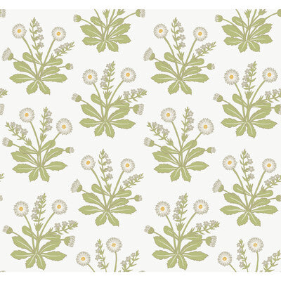 KRAVET DESIGN W3928 PRINT--BOTANICAL & FLORAL- WHITE,GREEN,   - W3928.303.0