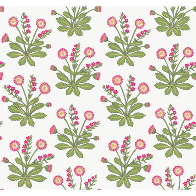 KRAVET DESIGN W3928 PRINT--BOTANICAL & FLORAL- WHITE,PINK,   - W3928.317.0