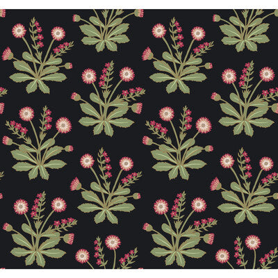 KRAVET DESIGN W3928 PRINT--BOTANICAL & FLORAL- BLACK,PINK,   - W3928.817.0