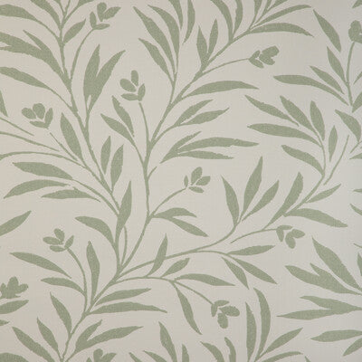 KRAVET COUTURE WISPY VINES WP PRINT---BOTANICAL & FLORAL GREEN,WHITE,   - W3939.31.0