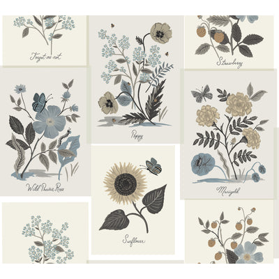 KRAVET DESIGN KRAVET DESIGN PRINT---BOTANICAL & FLORAL BROWN,GREY,BLUE   - W3947.6106.0