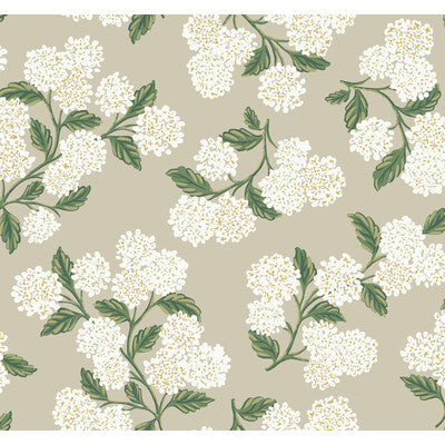 KRAVET DESIGN KRAVET DESIGN PRINT--BOTANICAL & FLORAL-METALLIC BEIGE,GREEN,WHITE   - W3952.31.0