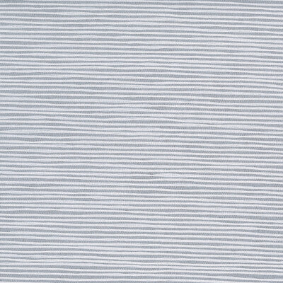 KRAVET DESIGN KRAVET DESIGN GRASSCLOTH--METALLIC-TEXTURE WHITE,GREY,   - W3975.11.0