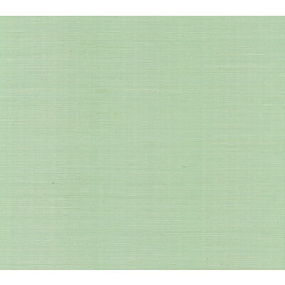 KRAVET DESIGN KRAVET DESIGN GRASSCLOTH--SOLID-TEXTURE GREEN,,   - W3996.23.0