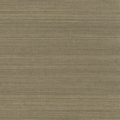 KRAVET DESIGN KRAVET DESIGN GRASSCLOTH--SOLID-TEXTURE SAGE,BRONZE,BROWN   - W4003.630.0