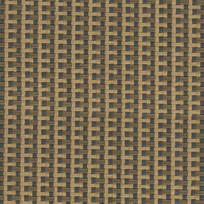 KRAVET DESIGN KRAVET DESIGN GRASSCLOTH---TEXTURE BLACK,CHOCOLATE,BEIGE   - W4013.86.0