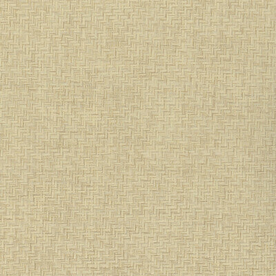 KRAVET DESIGN KRAVET DESIGN GRASSCLOTH--SOLID-TEXTURE BEIGE,BEIGE,   - W4021.16.0