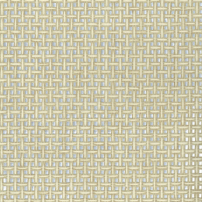 KRAVET DESIGN KRAVET DESIGN GRASSCLOTH--METALLIC-TEXTURE SILVER,METALLIC,IVORY   - W4065.111.0