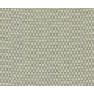 KRAVET DESIGN KRAVET DESIGN GRASSCLOTH--SOLID-TEXTURE TAUPE,,   - W4119.106.0