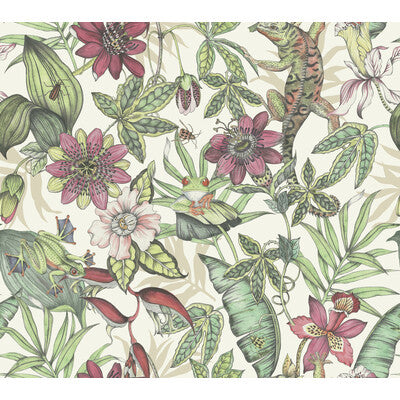 KRAVET DESIGN KRAVET DESIGN PRINT--BOTANICAL & FLORAL- PINK,RED,   - W4131.719.0