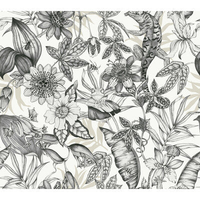 KRAVET DESIGN KRAVET DESIGN PRINT--BOTANICAL & FLORAL- CHARCOAL,WHITE,   - W4131.8.0