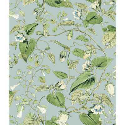 KRAVET DESIGN KRAVET DESIGN PRINT--BOTANICAL & FLORAL- LIGHT BLUE,GREEN,   - W4132.153.0