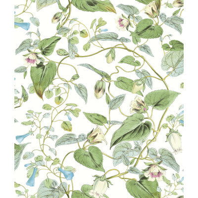 KRAVET DESIGN KRAVET DESIGN PRINT--BOTANICAL & FLORAL- GREEN,LIGHT BLUE,   - W4132.31.0