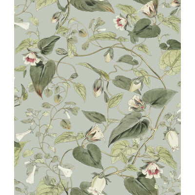 KRAVET DESIGN KRAVET DESIGN PRINT--BOTANICAL & FLORAL- GREY,GREEN,   - W4132.311.0