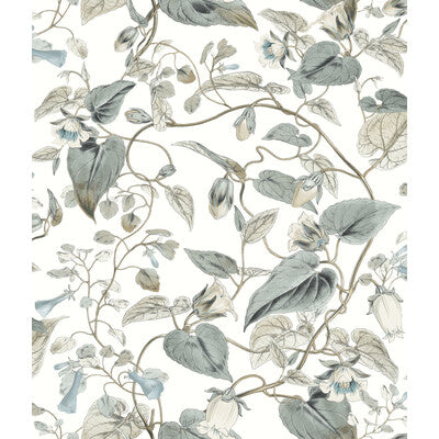 KRAVET DESIGN KRAVET DESIGN PRINT--BOTANICAL & FLORAL- BLUE,WHITE,   - W4132.511.0