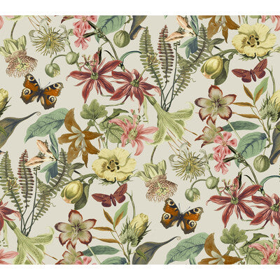 KRAVET DESIGN KRAVET DESIGN PRINT--BOTANICAL & FLORAL- PINK,ORANGE,   - W4133.712.0