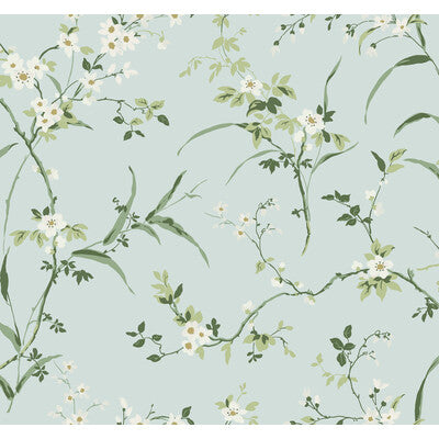 KRAVET DESIGN KRAVET DESIGN PRINT--BOTANICAL & FLORAL- TURQUOISE,GREEN,   - W4135.13.0