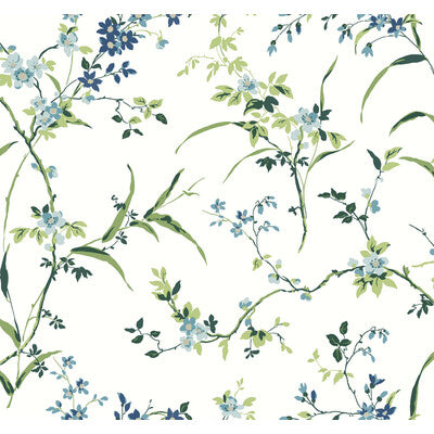 KRAVET DESIGN KRAVET DESIGN PRINT--BOTANICAL & FLORAL- BLUE,GREEN,   - W4135.315.0