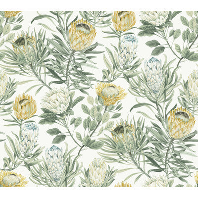 KRAVET DESIGN KRAVET DESIGN PRINT--BOTANICAL & FLORAL- YELLOW,WHITE,   - W4136.4.0