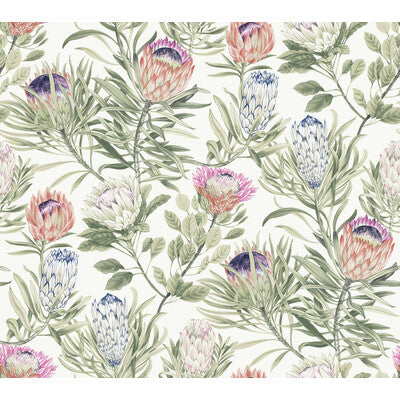 KRAVET DESIGN KRAVET DESIGN PRINT--BOTANICAL & FLORAL- PINK,PURPLE,   - W4136.710.0