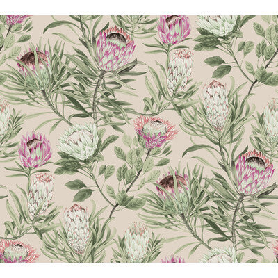 KRAVET DESIGN KRAVET DESIGN PRINT--BOTANICAL & FLORAL- PINK,GREEN,   - W4136.73.0