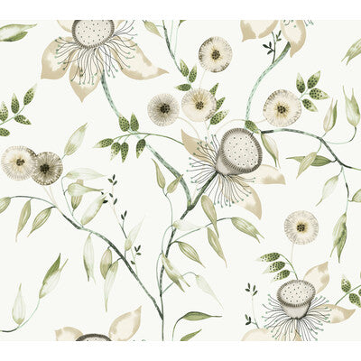 KRAVET DESIGN KRAVET DESIGN PRINT--BOTANICAL & FLORAL- GREEN,WHITE,   - W4140.31.0