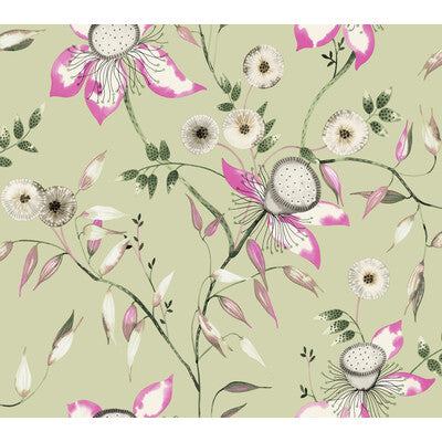 KRAVET DESIGN KRAVET DESIGN PRINT--BOTANICAL & FLORAL- LIGHT GREEN,PINK,   - W4140.317.0