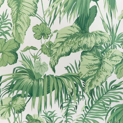 KRAVET COUTURE YASUNI WP PRINT---BOTANICAL & FLORAL GREEN,WHITE,BEIGE   - W4145.31.0