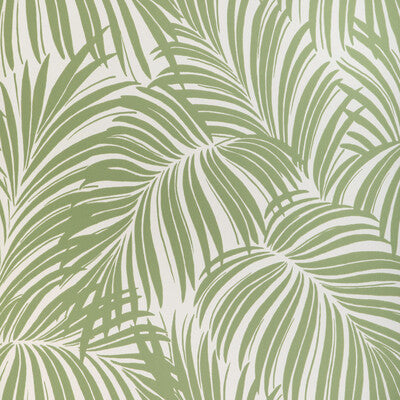 KRAVET COUTURE PALM LEAF WP PRINT---BOTANICAL & FLORAL GREEN,IVORY,CELERY   - W4149.23.0