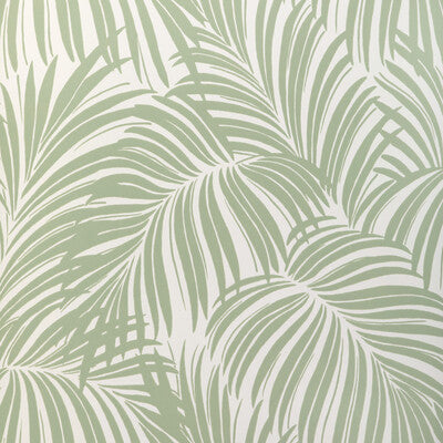 KRAVET COUTURE PALM LEAF WP PRINT---BOTANICAL & FLORAL GREEN,LIGHT GREEN,IVORY   - W4149.30.0