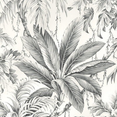 KRAVET DESIGN KRAVET DESIGN PRINT--BOTANICAL & FLORAL- GREY,BLACK,WHITE   - W4190.11.0