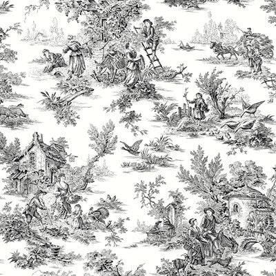 KRAVET DESIGN KRAVET DESIGN PRINT---TOILE BLACK,WHITE,   - W4235.8.0