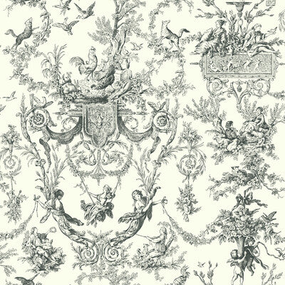 KRAVET DESIGN KRAVET DESIGN PRINT---TOILE BLACK,WHITE,   - W4236.8.0