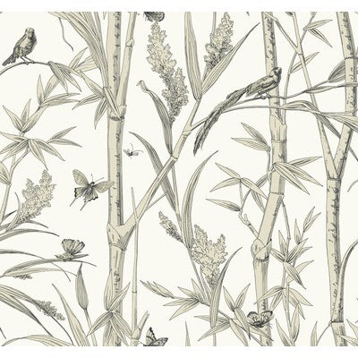 KRAVET DESIGN KRAVET DESIGN PRINT--ANIMAL/INSECTS-BOTANICAL & FLORAL BLACK,WHITE,WHITE   - W4238.106.0