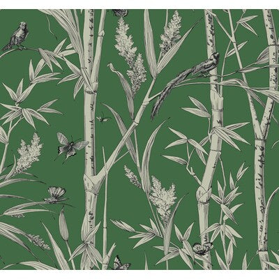 KRAVET DESIGN KRAVET DESIGN PRINT--ANIMAL/INSECTS-BOTANICAL & FLORAL GREEN,WHITE,   - W4238.31.0