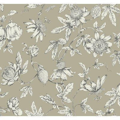 KRAVET DESIGN KRAVET DESIGN PRINT---BOTANICAL & FLORAL TAUPE,WHITE,BLACK   - W4240.106.0