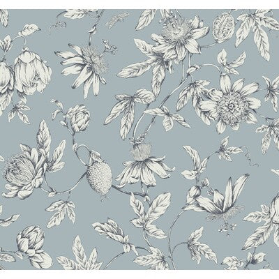 KRAVET DESIGN KRAVET DESIGN PRINT---BOTANICAL & FLORAL LIGHT BLUE,WHITE,BLACK   - W4240.15.0