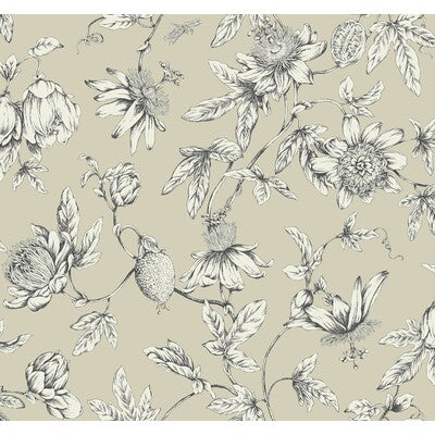 KRAVET DESIGN KRAVET DESIGN PRINT---BOTANICAL & FLORAL BEIGE,BLACK,WHITE   - W4240.16.0