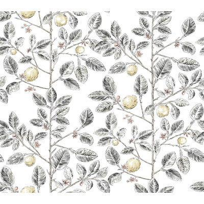 KRAVET DESIGN KRAVET DESIGN PRINT---BOTANICAL & FLORAL CHARCOAL,YELLOW,BROWN   - W4241.21.0