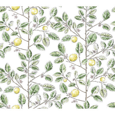 KRAVET DESIGN KRAVET DESIGN PRINT---BOTANICAL & FLORAL GREEN,YELLOW,BROWN   - W4241.340.0