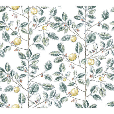 KRAVET DESIGN KRAVET DESIGN PRINT---BOTANICAL & FLORAL GREEN,YELLOW,BROWN   - W4241.354.0