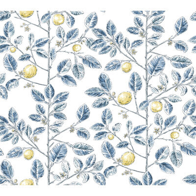 KRAVET DESIGN KRAVET DESIGN PRINT---BOTANICAL & FLORAL BLUE,YELLOW,GREY   - W4241.540.0